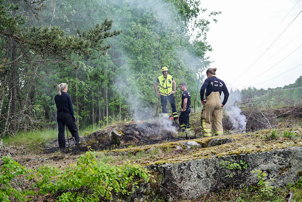 Norrk ping Mindre Brand I Vrinneviskogen Nkpg News Norrk ping Mindre Brand I Vrinneviskogen Nkpg News