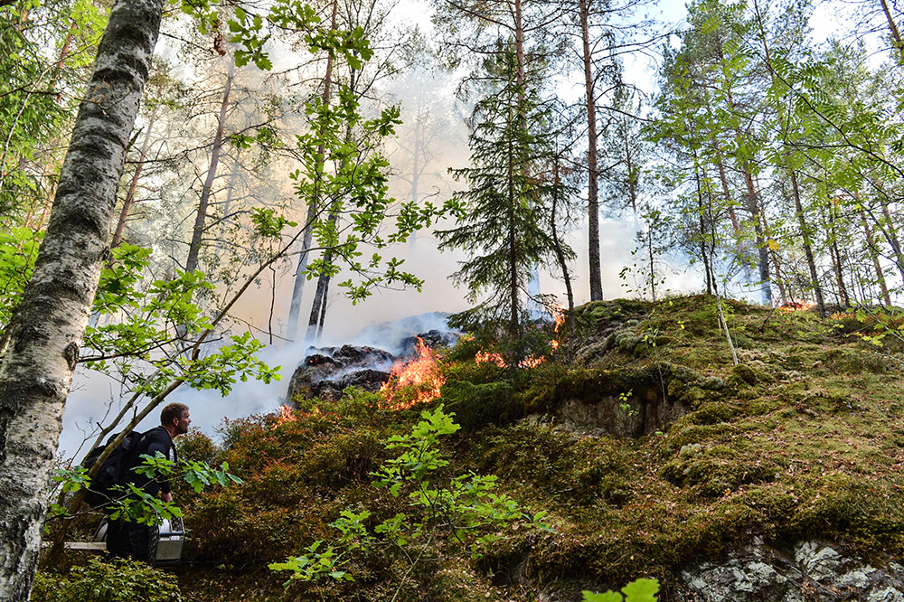 Norrk ping nnu En Brand I Vrinneviskogen Nkpg News Norrk ping nnu En Brand I Vrinneviskogen Nkpg News