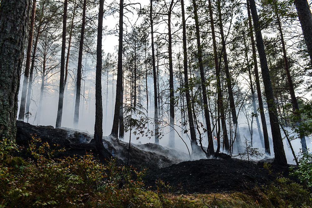 Norrk ping nnu En Brand I Vrinneviskogen Nkpg News Norrk ping nnu En Brand I Vrinneviskogen Nkpg News